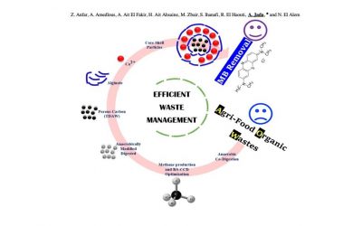 Combined Methane Energy Recovery and Toxic Dye Removal by Porous Carbon Derived from Anaerobically Modified Digestate