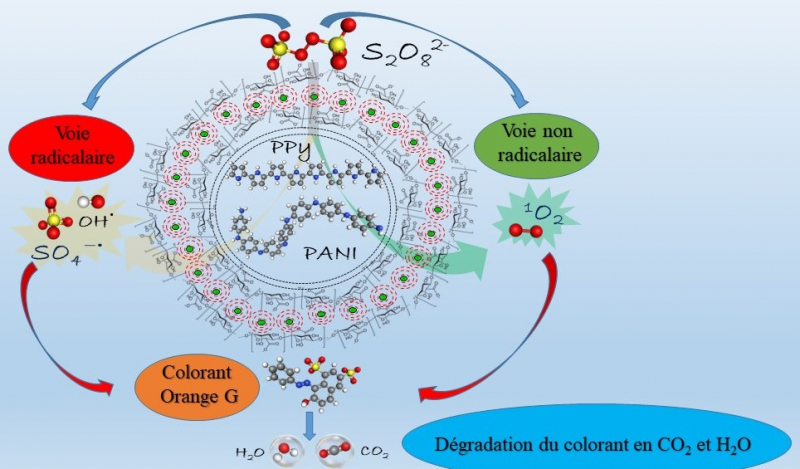 Catalyseurs à base de polymères pour dégrader les polluants organiques