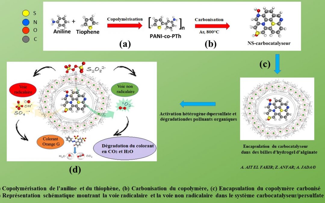 Synthèse monotope de carbocatalyseurs pour la dégradation des polluants organiques