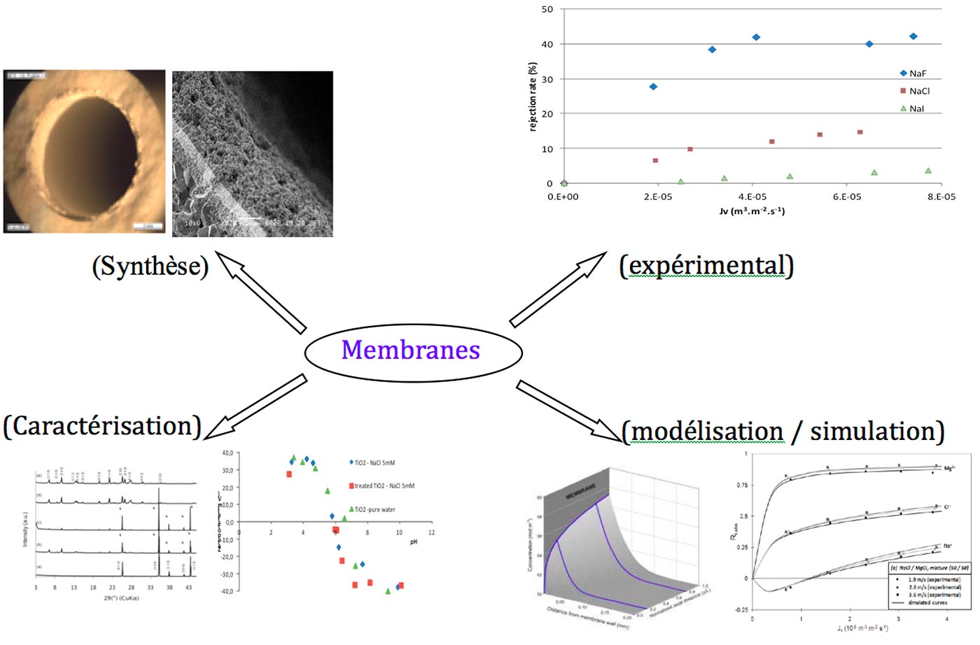 membranes