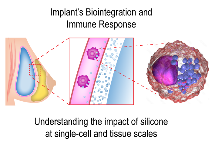 Biointerfaces 3