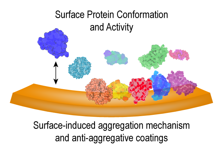 Biointerfaces 4