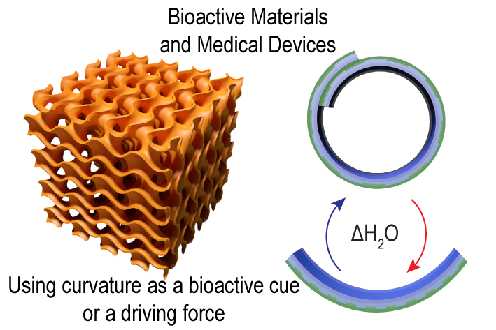 Biointerfaces 6
