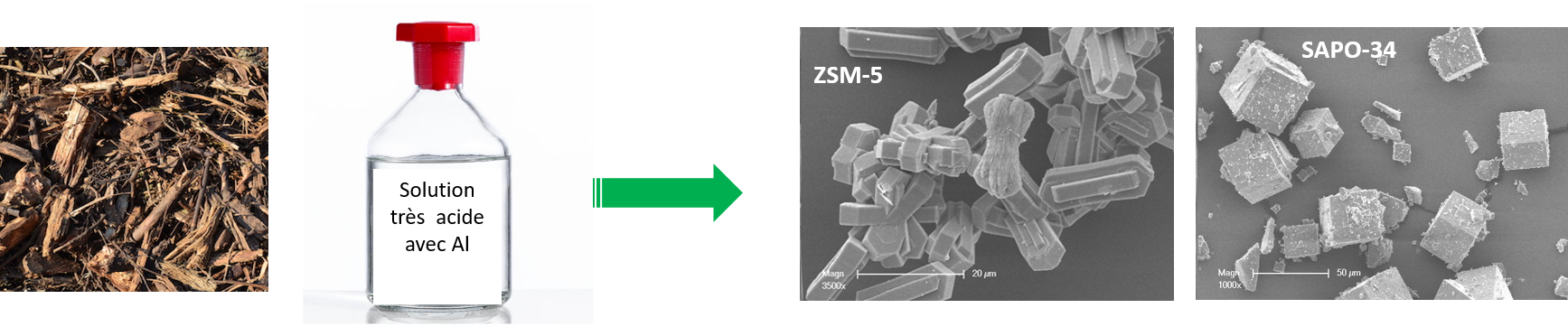 Image2