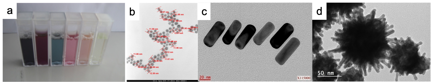 Nanoparticules_colloidales