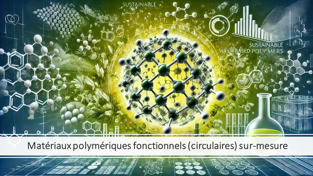 Materiaux_polymeriques_fonctionnels